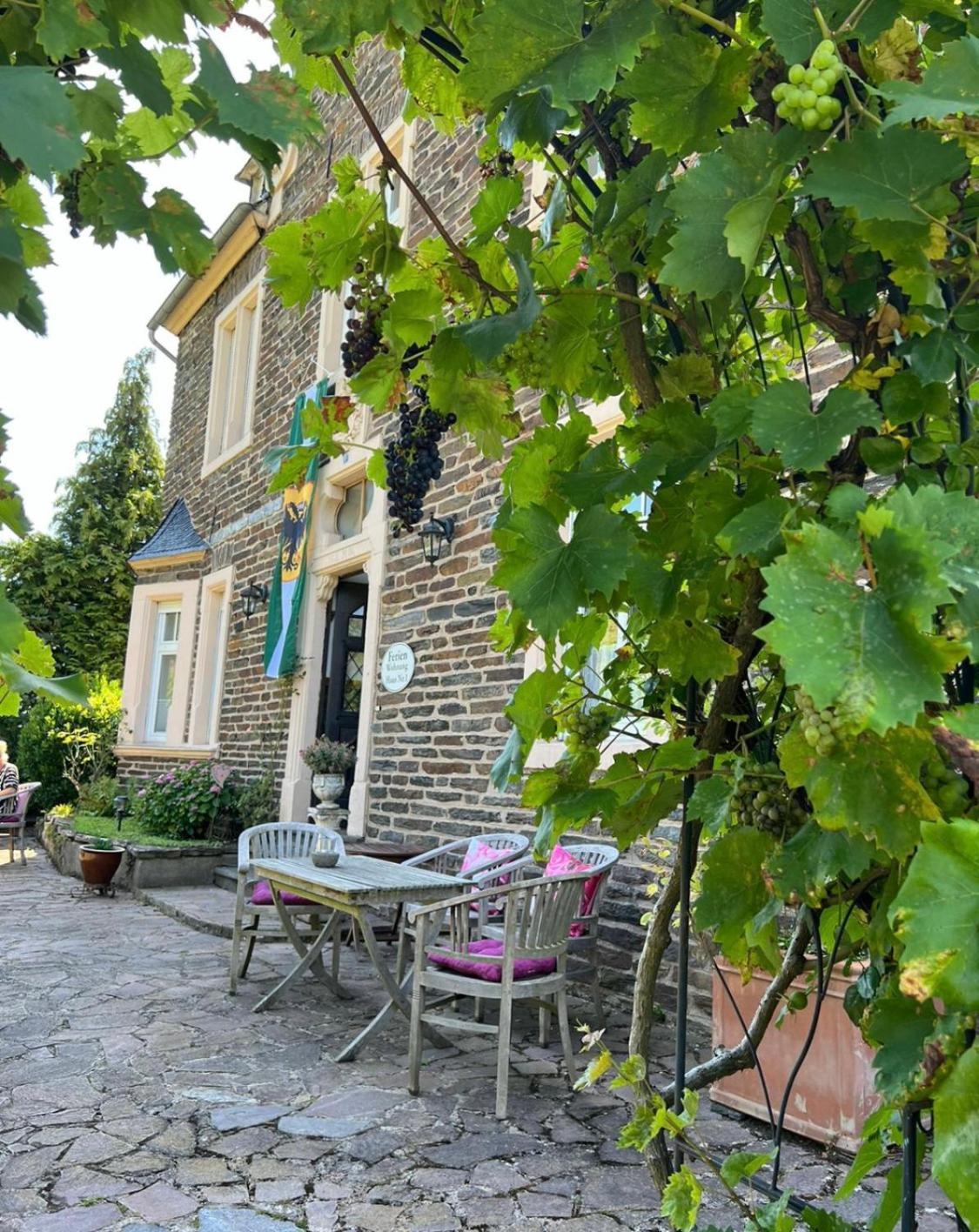 Haus Nummer 1, Moselblick رايل المظهر الخارجي الصورة