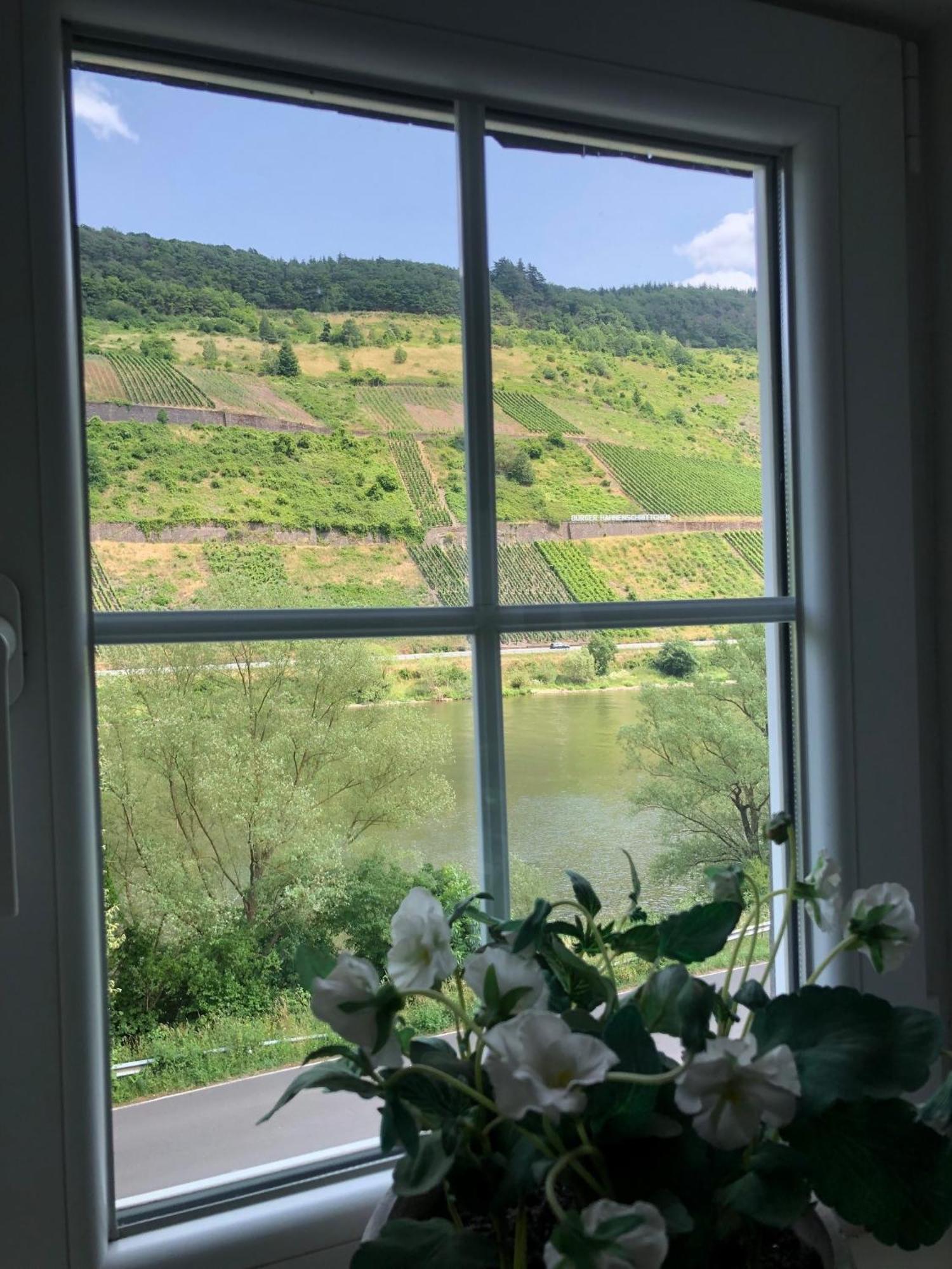 Haus Nummer 1, Moselblick رايل المظهر الخارجي الصورة